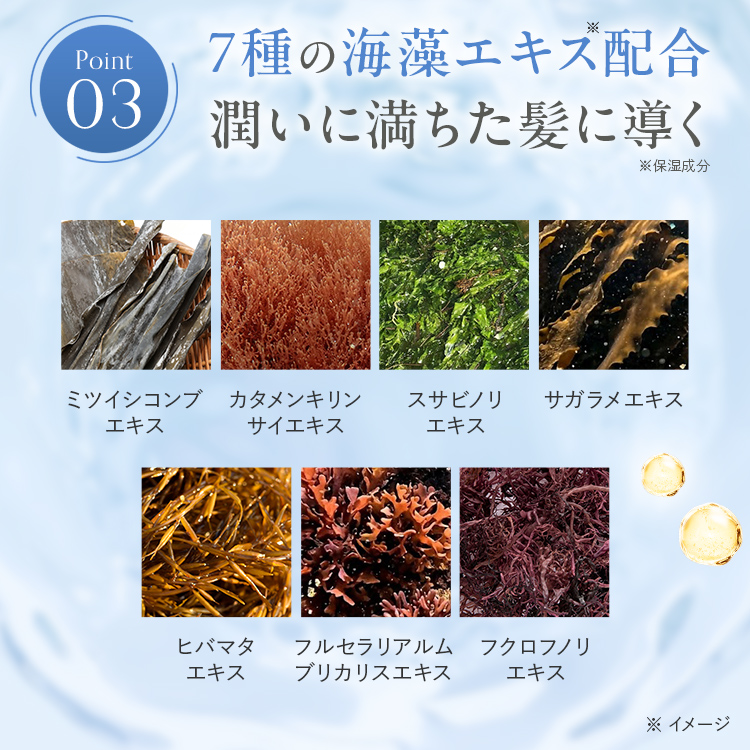 ヘアカラートリートメント ナチュラルブラック